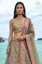 Champagne Beige Embroidered Semi-Stitched Tissue Lehenga Set