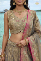 Champagne Beige Embroidered Semi-Stitched Tissue Lehenga Set