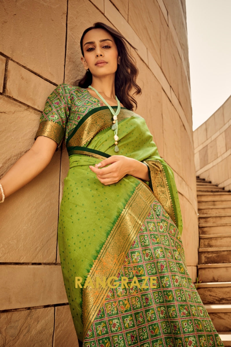 Apple Green Banarasi Patola Woven Silk Saree