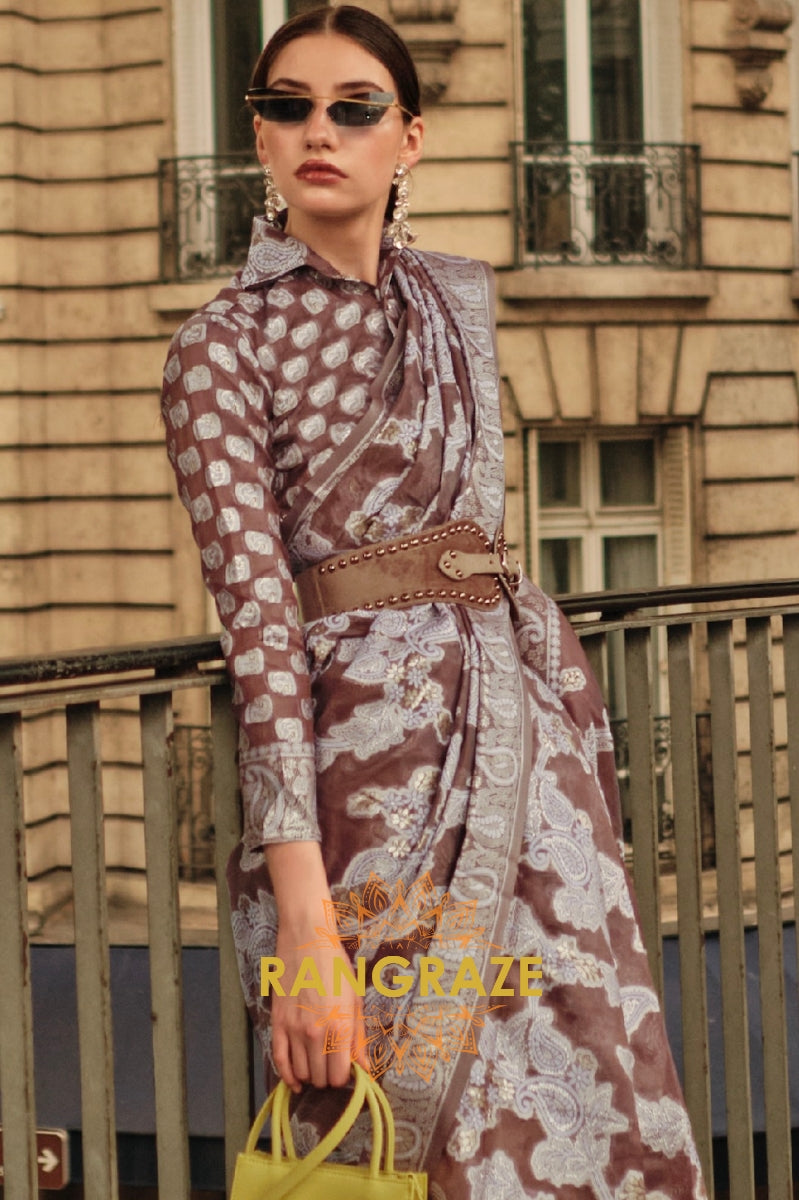 Cherry Brown Woven Lucknowi Organza Silk Saree