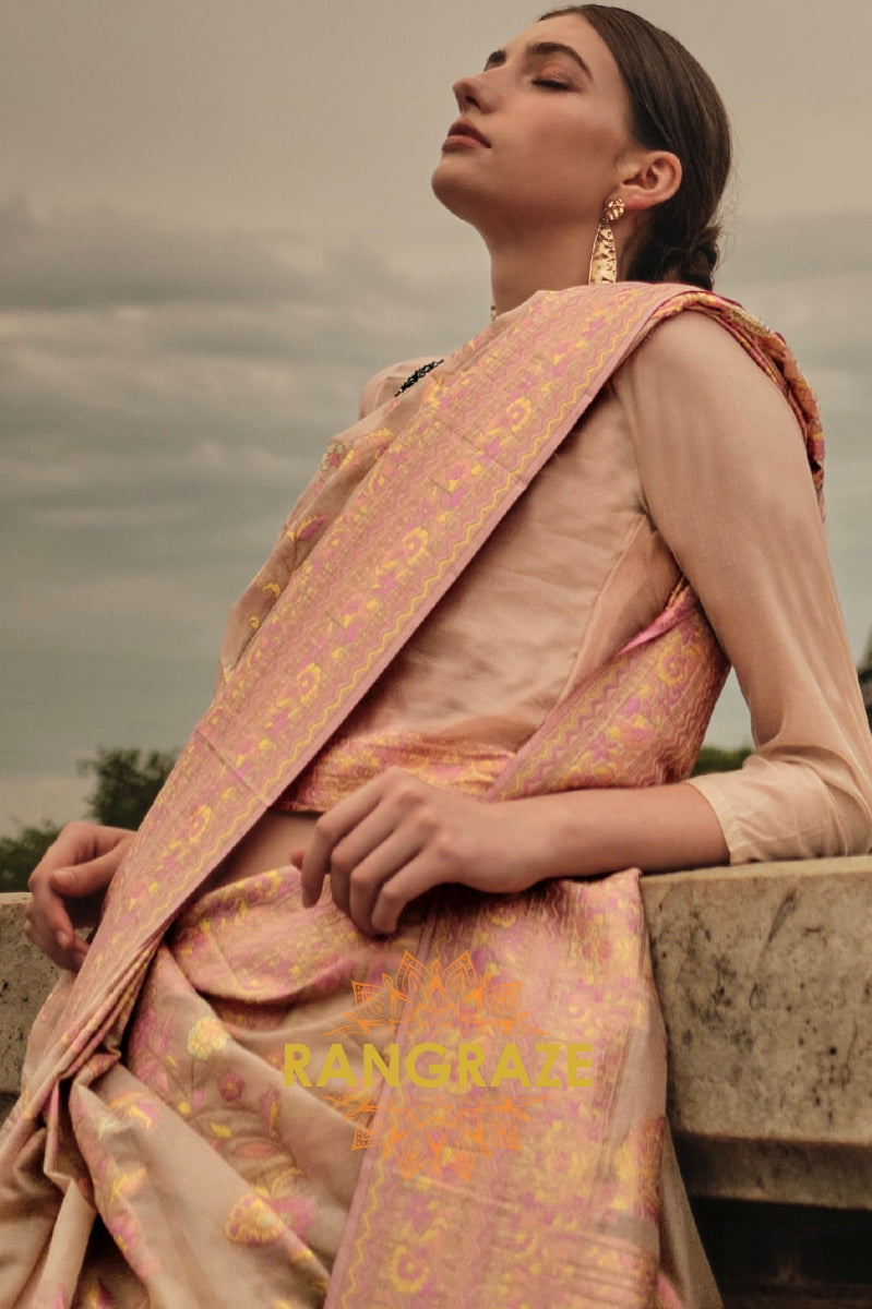 Rajwada Beige Pink Kashmiri Organza Handloom Weaving