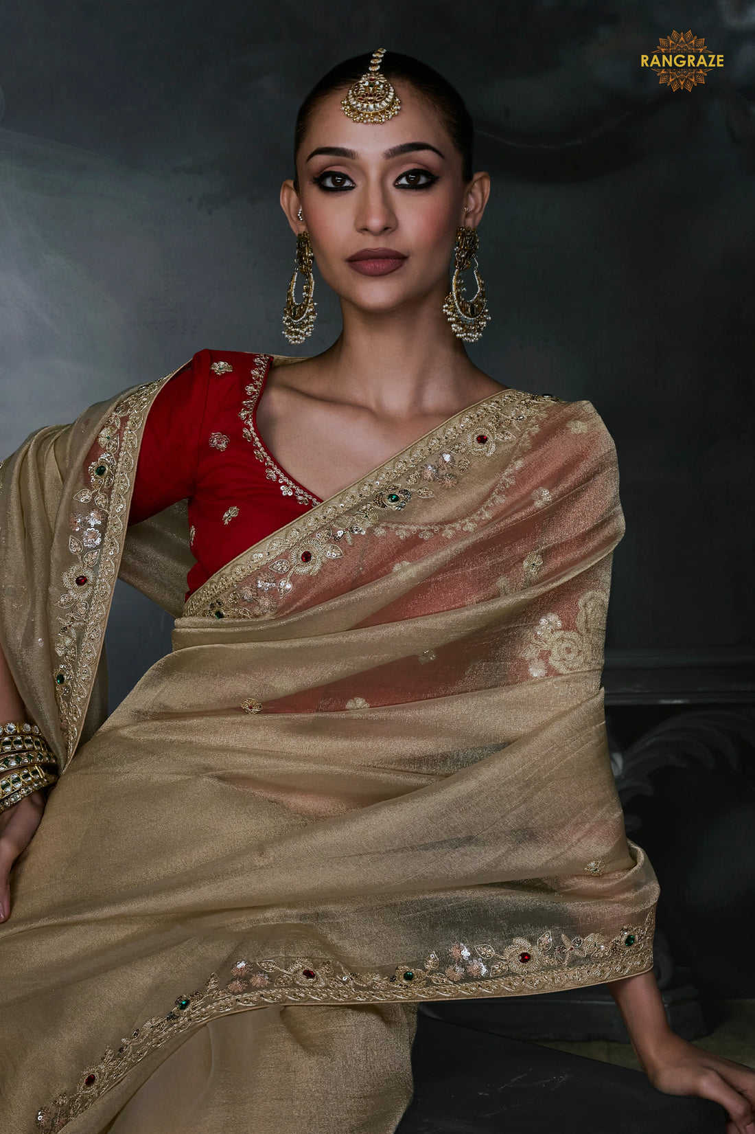 Beige Embroidered Tissue Organza Saree