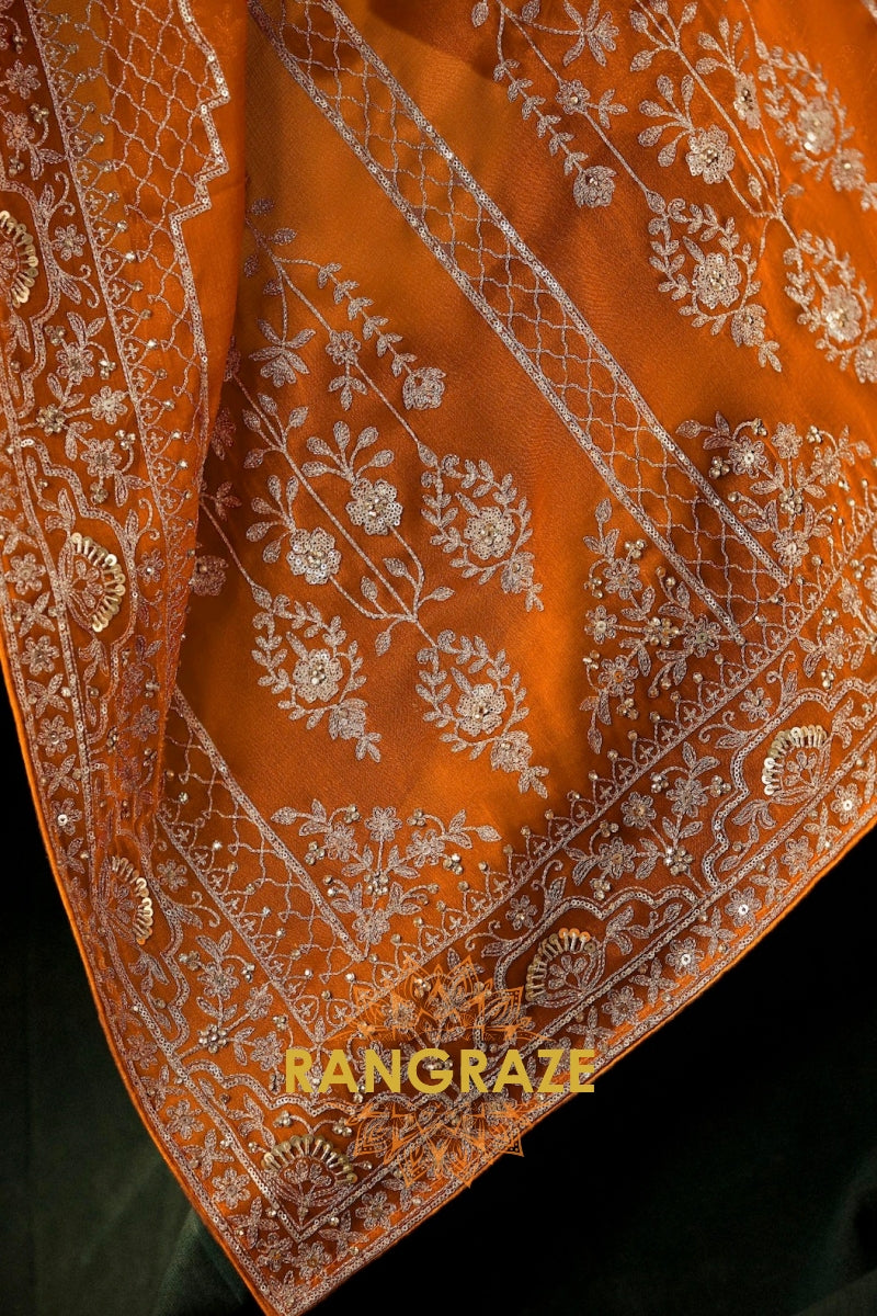 Burnt Orange Designer Embroidered Saree with Heavy Blouse & Pallu Work