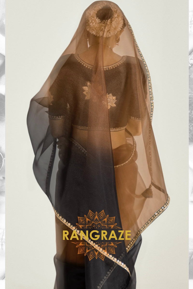 Ebony Gold Organza Tissue Silk Saree