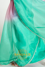 Emerald Blush Organza Tissue Silk Saree