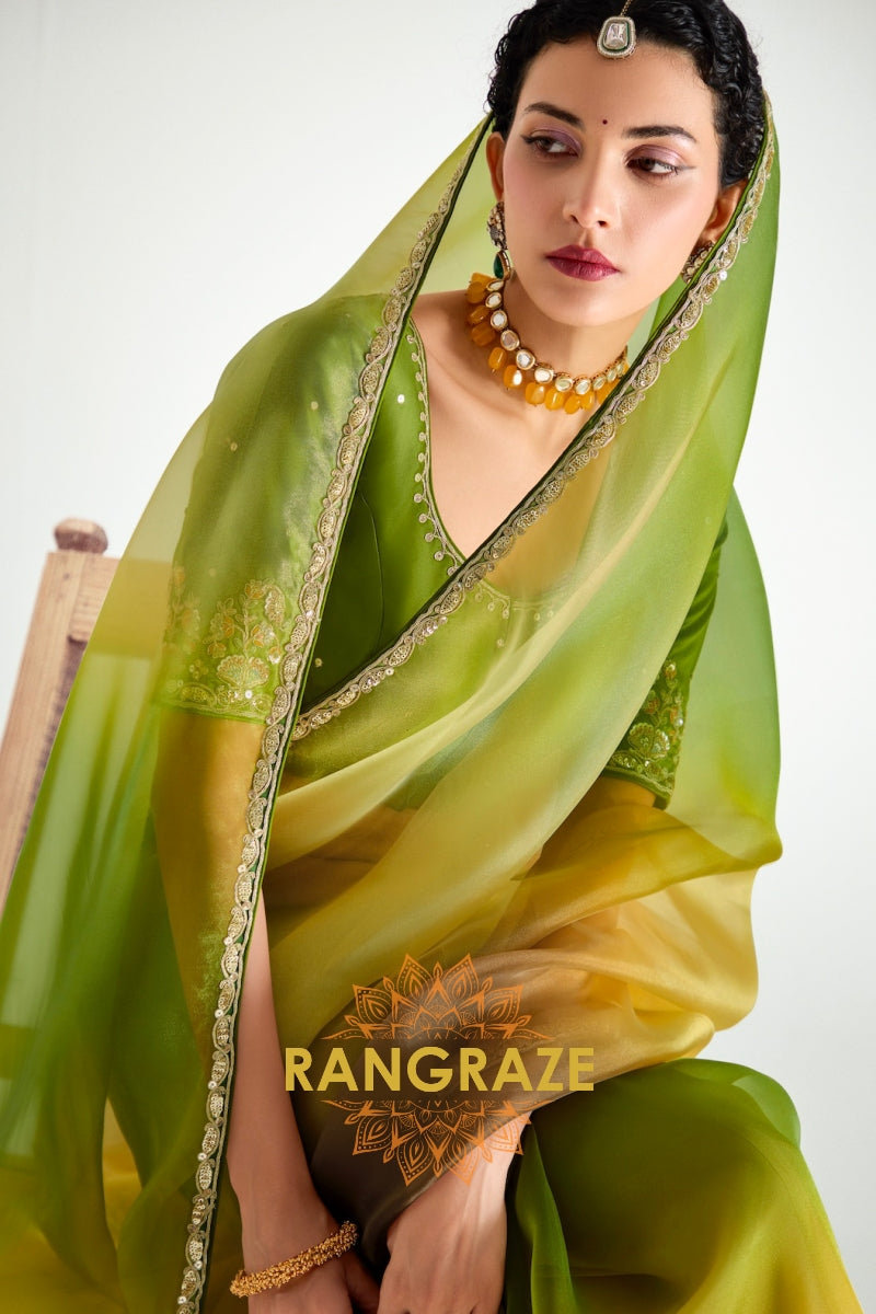Meadow Glow Organza Tissue Silk Saree