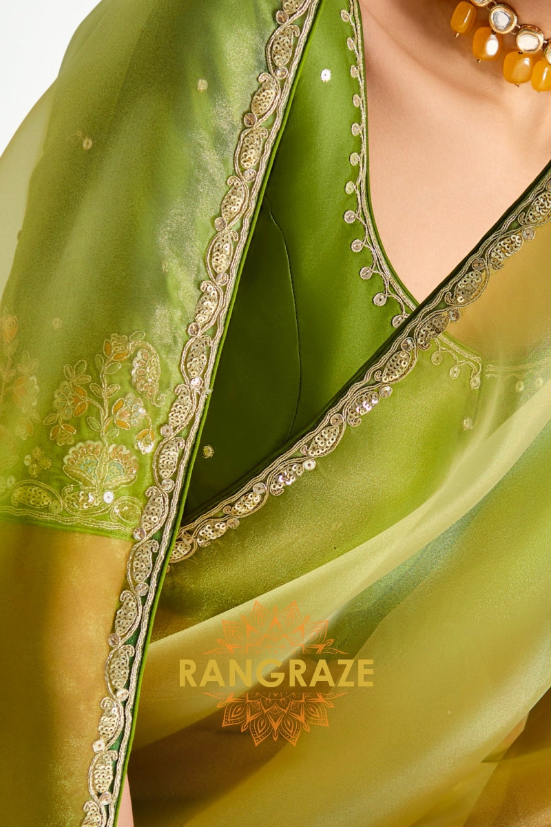 Meadow Glow Organza Tissue Silk Saree