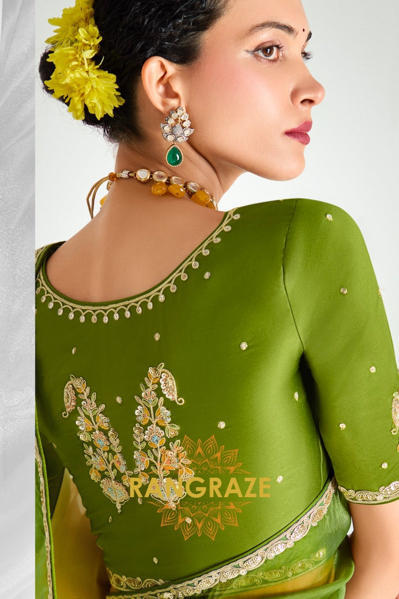 Meadow Glow Organza Tissue Silk Saree