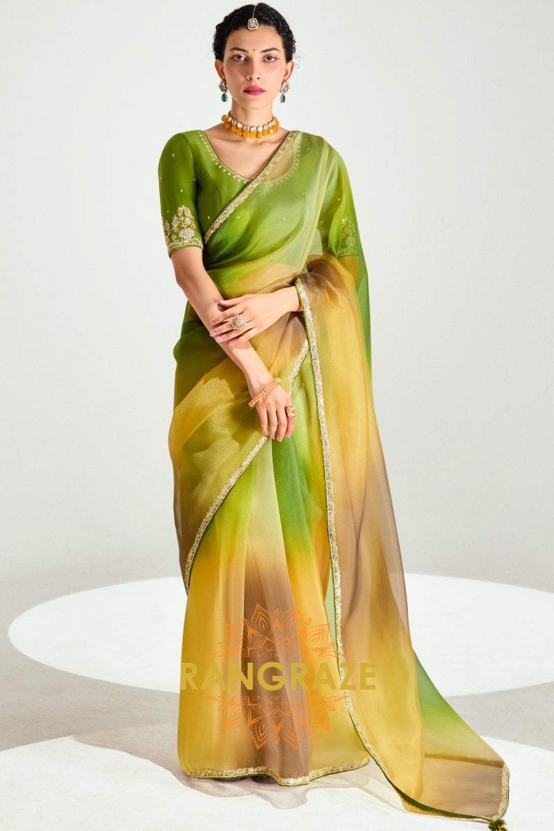 Meadow Glow Organza Tissue Silk Saree