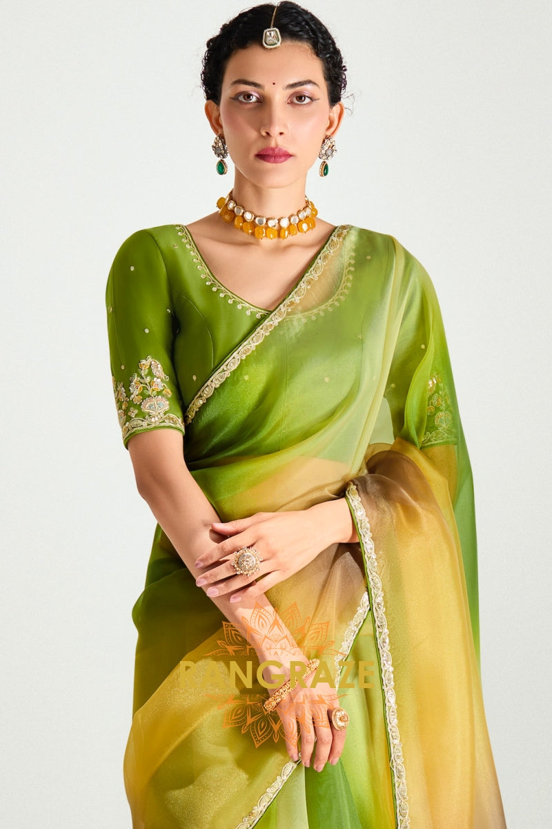 Meadow Glow Organza Tissue Silk Saree