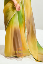Meadow Glow Organza Tissue Silk Saree