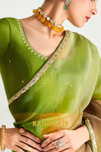 Meadow Glow Organza Tissue Silk Saree
