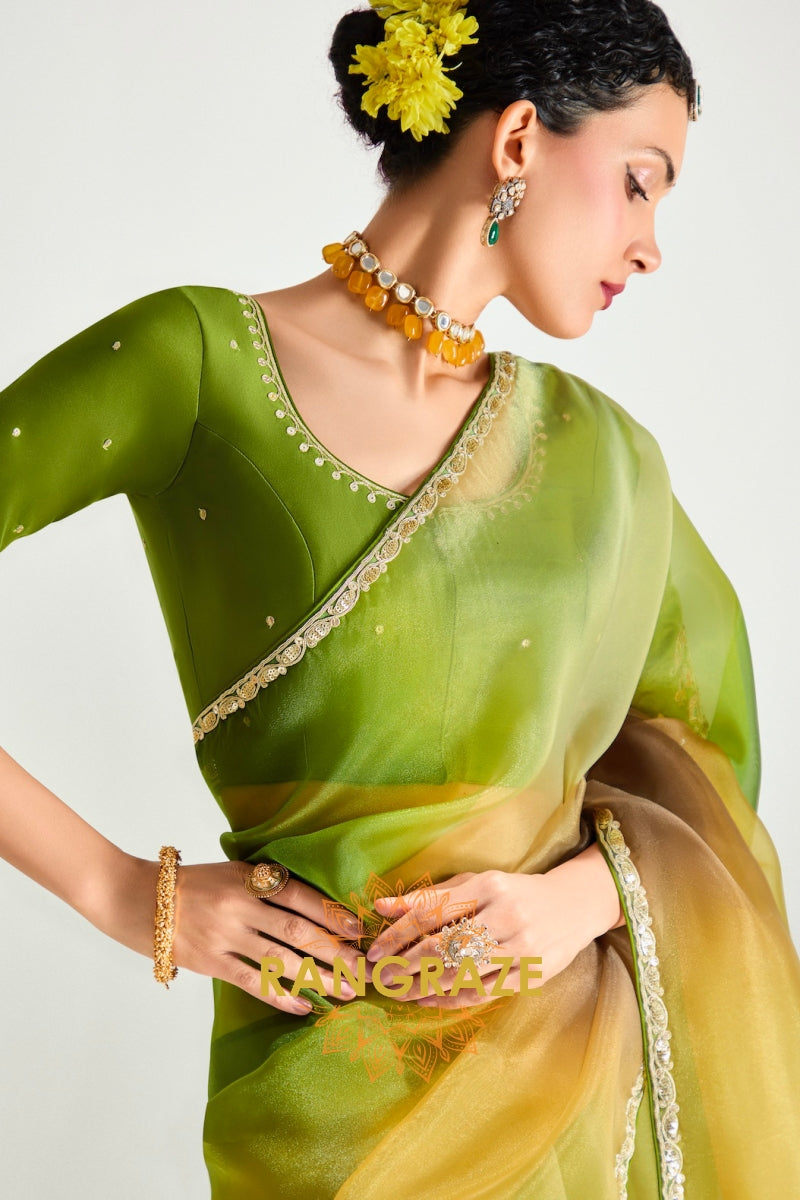 Meadow Glow Organza Tissue Silk Saree