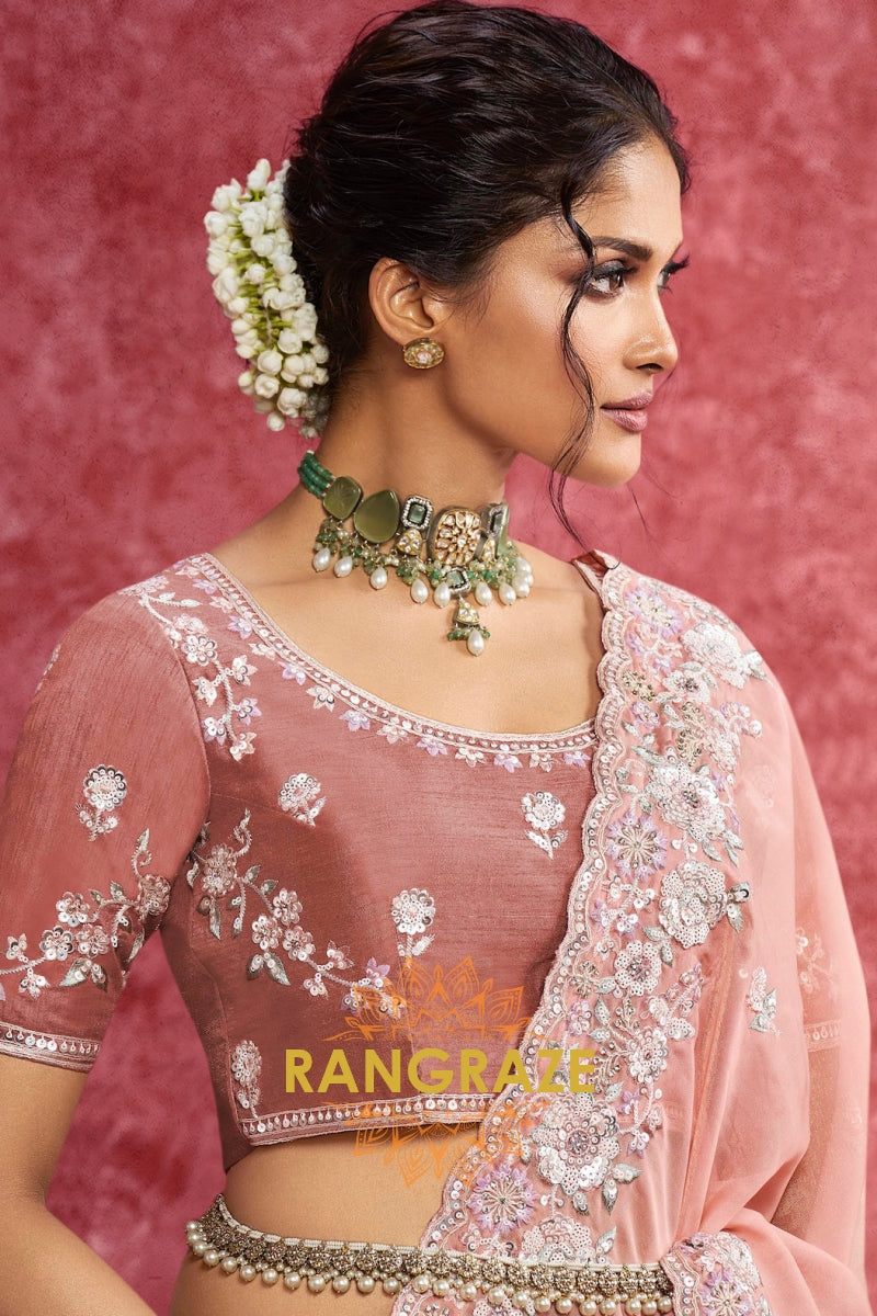 Blush Pink Organza Tissue Embroidered Saree with Velvet Blouse