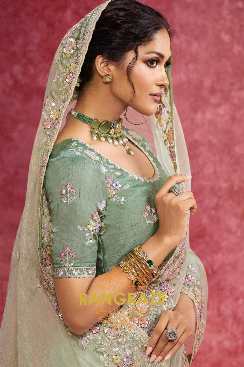 Crush Organza Saree in a serene pastel green