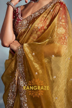 Pure Tissue Organza Embroidered Saree