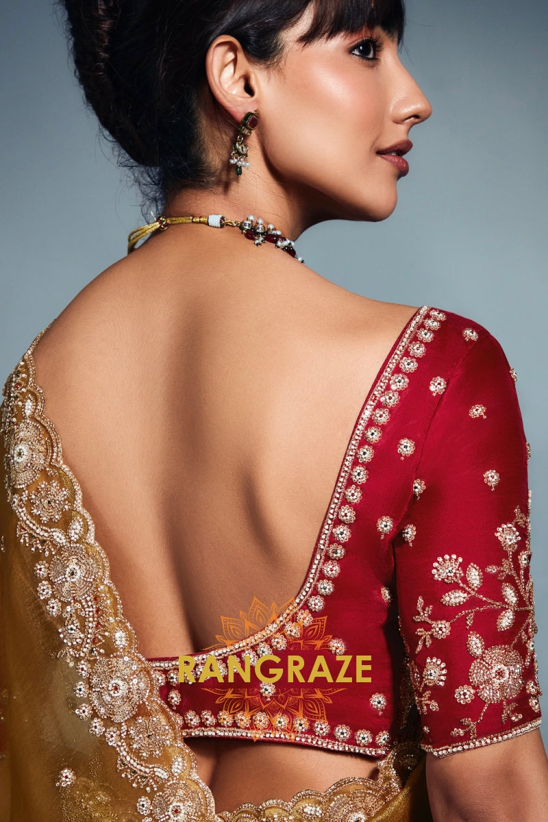 Pure Tissue Organza Embroidered Saree