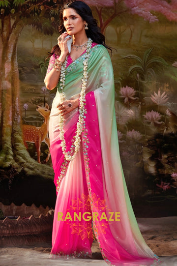 Rose Mint: Ombre Organza Embroidered Saree