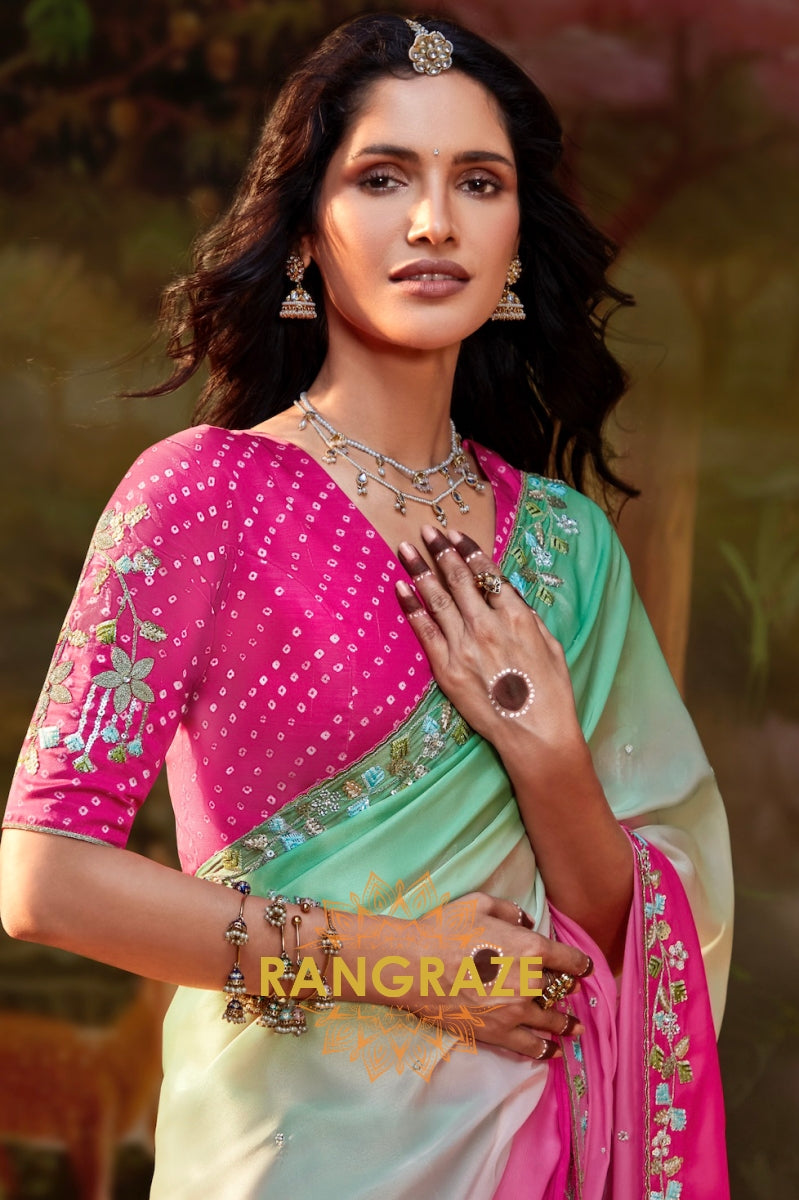 Rose Mint: Ombre Organza Embroidered Saree