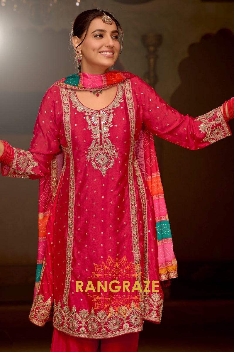 Gulabi Gota Grace Embroidered Suit Set