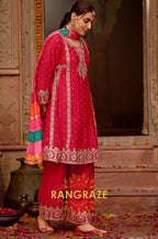 Gulabi Gota Grace Embroidered Suit Set