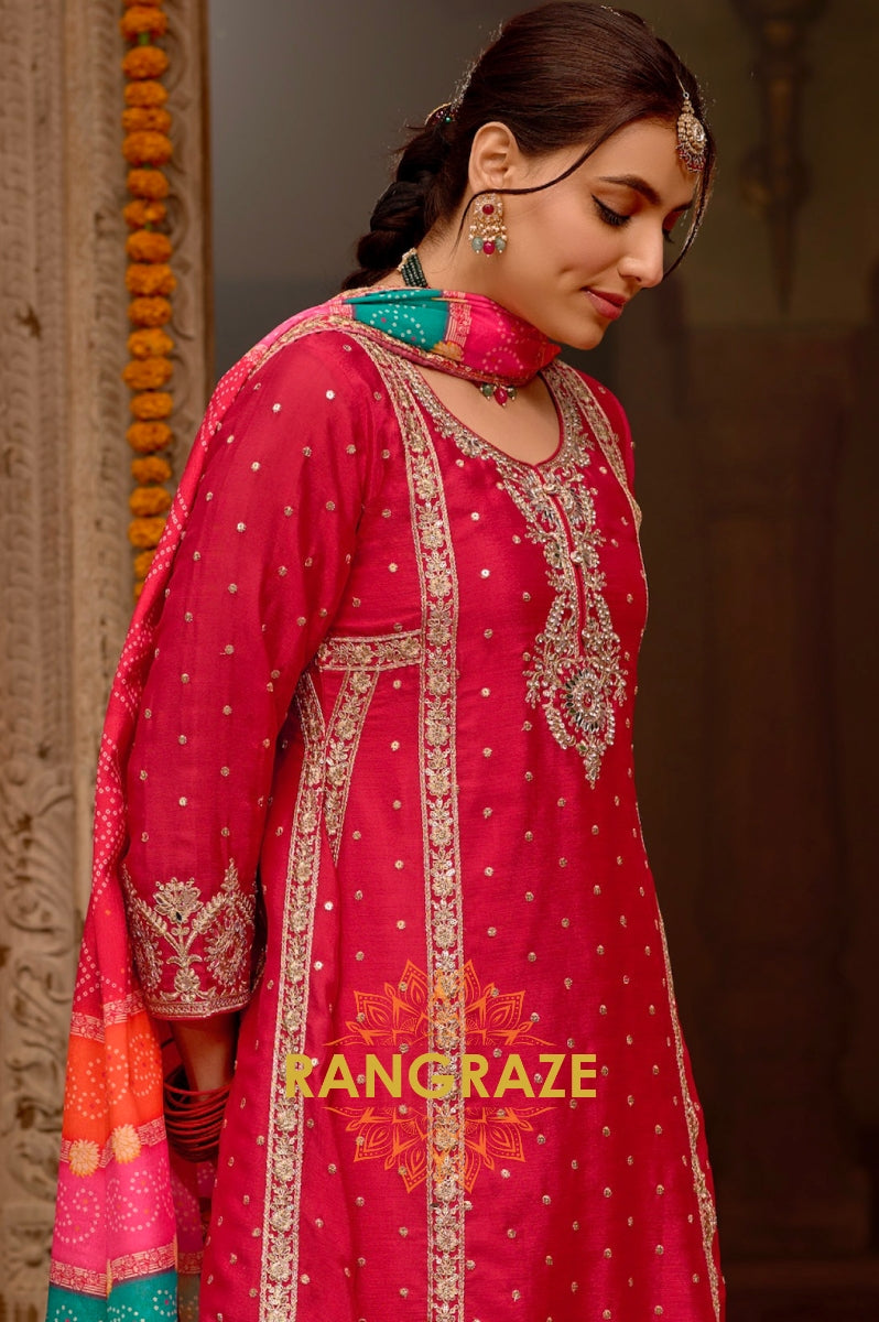 Gulabi Gota Grace Embroidered Suit Set