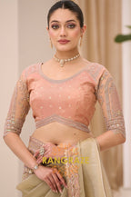 Sage Green Tissue Silk Embroidered Saree with Designer Blouse