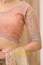 Sage Green Tissue Silk Embroidered Saree with Designer Blouse