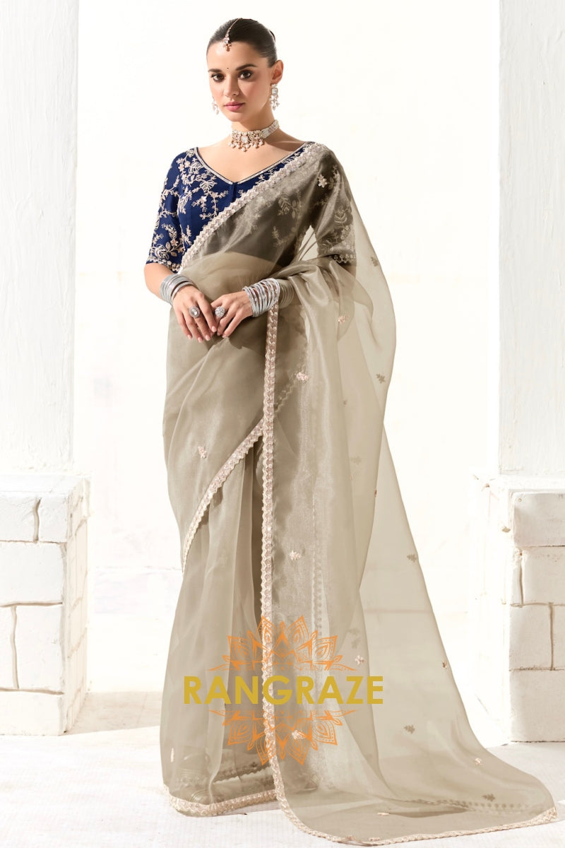 Moonstone Veil Organza Tissue Saree