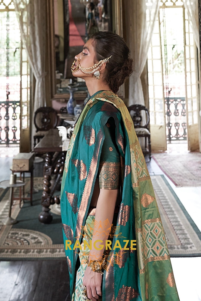 Royal Mosaic Pochampally Saree