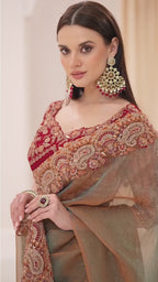 Dual Shade Olive Premium Georgette Tissue Embroidered Saree with Designer Blouse